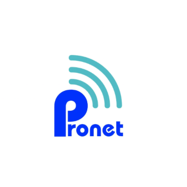 Pronet Data Solusi Logo